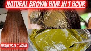 DIY Natural Brown Hair in 1 Hour  How I prepare my Mehandi for Hair  Mehandi Hair Pack Recipe [upl. by Samled]