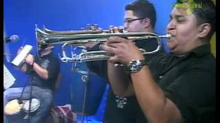 Armando rodriguez y su Orquesta Amor y Pecado [upl. by Dirfliw]