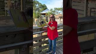 Story Time Donna Marquardt reads quotPorcupines Piequot by Laura Renault [upl. by Rebna]