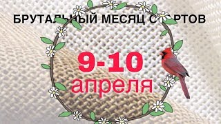 месяц стартов 2018 910 апреля [upl. by Ayahs]