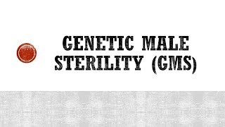 Genetic Male Sterility GMS in Plants [upl. by Tik167]