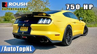 750HP FORD MUSTANG GT SUPERCHARGED  289kmh REVIEW on AUTOBAHN by AutoTopNL [upl. by Gamin]