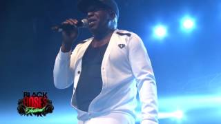 Barrington Levy  Under Mi Sensi Black Roses Festival 2016 [upl. by Sweeney]