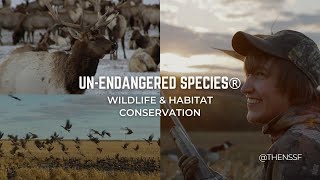 UNENDANGERED SPECIES® Wildlife amp Habitat Conservation  NSSForg [upl. by Koby]