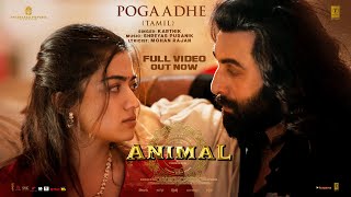 Full Video Pogaadhe  ANIMAL  Ranbir K Rashmika M  Karthik Shreyas P Mohan R  Sandeep Reddy V [upl. by Nahgem]