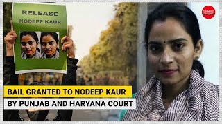 Bail granted to activist Nodeep Kaur by Punjab and Haryana high court [upl. by Skurnik]