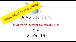 biologie cellulaire s1 vidéo 015  la membrane plasmique شرح [upl. by Hendrik352]