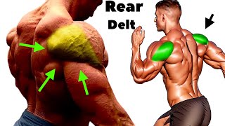 Most Effective Workout for Rear Delt You Need [upl. by Stolzer]