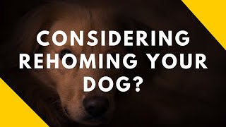 Considering Rehoming Your Dog [upl. by Ulphiah]