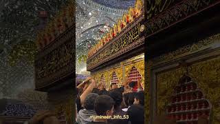 Jana hai karbala jana hai dawoodibohramadeh karbala dawoodibohra bohracommunity [upl. by Spoor495]