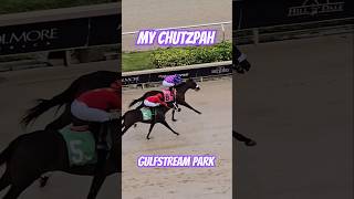 My Chutzpah winning race 7 back to back wins for Edwin González GulfstreamPark SunshineMeet [upl. by Erusaert72]