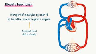 Kredsløbet Blodet [upl. by Palmer]