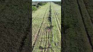 Con un dron a una niña de 3 años que estuvo 5 horas perdida en La Pampa [upl. by Akihsal]