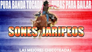 Los Mejores Sones Jaripeos con Banda Tocada Mix de Sones 2024 Puras Para Bailar [upl. by Regor662]