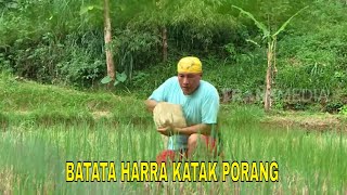 BATATA HARRA KATAK PORANG  JEJAK SI GUNDUL 310124 [upl. by Sucerdor]