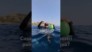 Riesci a immaginare i tuoi polmoni piccoli come pugnetti 👊🏼😱 apnea scienceexperiment fisica [upl. by Khano]