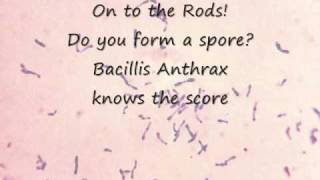 The Gram Positive Bacteria Song [upl. by Urien707]