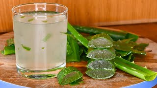 Aloe vera para gastritis y reflujo  Como hacer gel de aloe vera casero y conservarlo 💚 [upl. by Marlowe903]