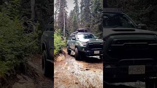 LOVE THIS TRAIL Whipsaw tacomaoffroad tacoma4x4 toyotatacoma adventure [upl. by Jarv]