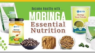 Meiyon Global Catalogue Moringa Value added Products முருங்கையின் மதிப்புக்கூட்டல் பொருட்கள் [upl. by Eanert608]