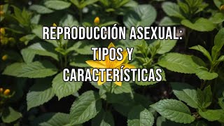 Reproducción Asexual bipartición fisión esporulación… [upl. by Leund268]