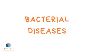 GCSE Biology  Infection amp Response  6 Bacterial Diseases [upl. by Trawets]