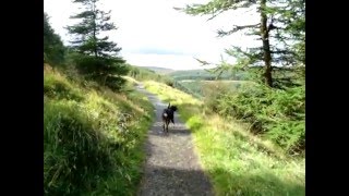 Glenariff Forest Park The Scenic Route [upl. by Catha]