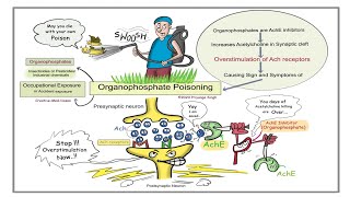 Organophosphate Poisoning Explained  EMT [upl. by Seymour]