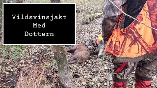 Vildsvinsjakt med dottern och Jämthund [upl. by Xila536]