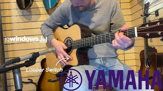 Yamaha TAG3C TransAcoustic  Looper Demo [upl. by Dilks878]