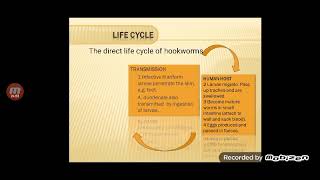 Medical Parasitology lecture 5 Part2 Nematoda [upl. by Silverman323]