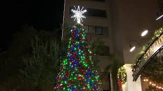 Live Clearwater holiday tree lighting [upl. by Huberto453]