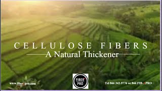 Fusion a Natural Cellulose Thickener [upl. by Nashbar]