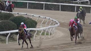 【地方競馬】第48回 佐賀記念JpnIII ウィニングラン 現地映像 クリンチャー [upl. by Heshum421]