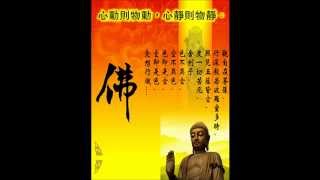 南無藥師琉璃光如來佛號 藥王講堂 釋禪通 恭錄（國語） [upl. by Touber451]