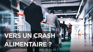 Pénuries Guerres Inflation  vers un crash alimentaire   Documentaire crise mondiale  ADN [upl. by Aikimat]