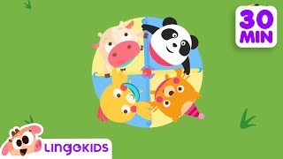 Clean Up Songs 🧹🧼  More Songs for Kids  Lingokids [upl. by Nagad]