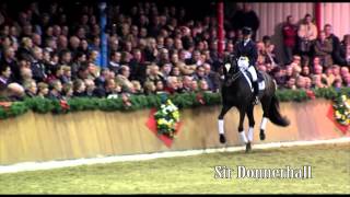 Schockemoehle Hengstkollektion 2014 Sir Donnerhall english [upl. by Keg]