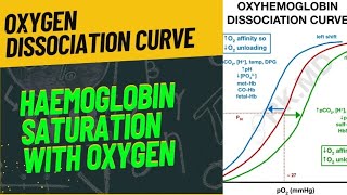 OXYGEN DISSOCIATION CURVE  FULLY EXPLAINED  neet2024 biology zoology respiration [upl. by Harland79]