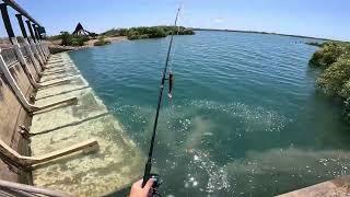 Fishing Sandfly Creek [upl. by Aicemed478]