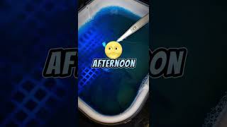 Wake up in the afternoon😎😅 shorts viral subscribe [upl. by Nesto800]