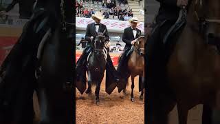 Alex Cano y Gonzalo Franco Grandes montadores de caballos en Colombia [upl. by Ayikin147]