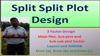 Split Split Plot Design [upl. by Eentroc]