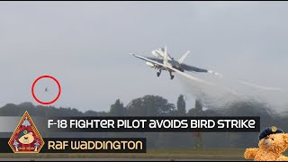 F18 FIGHTER PILOT QUICK REACTIONS AVOIDS COLLISION BIRD STRIKE • RCAF CF188 HORNET RAF WADDINGTON [upl. by Atilahs]