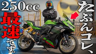 【２スト感】やり過ぎフルカスタムの『ZX25R』がもう250ccの域を越えている件【カスタム費140万円】 [upl. by Shayn494]