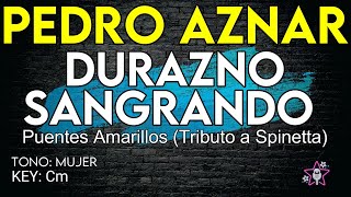 Pedro Aznar  Durazno Sangrando  Karaoke Instrumental  Mujer [upl. by Enirehtac985]