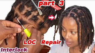 LOC Restoration Part 3 Interlock maintenance on Dreads [upl. by Shepherd]