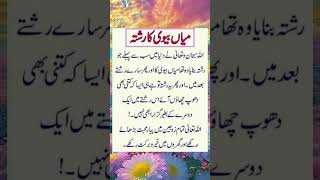 میاں بیوی کا رشتہ flute music cover ringtone recorder quotes ncsringtone musiclove poetry [upl. by Ahsinal]