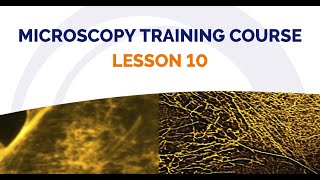 Microscopy School Lesson 10 An Overview of Super Resolution Microscopy Part 2 [upl. by Livi659]