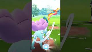 Legendary Beast VS Legendary Birds PVP Battle in pokemongo [upl. by Cacka]